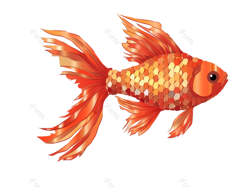 夏至图片,锦鲤元素,喜庆PNG,海洋生物免抠素材